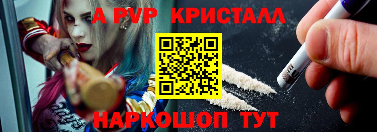 Alfa_PVP СК КРИС Нальчик