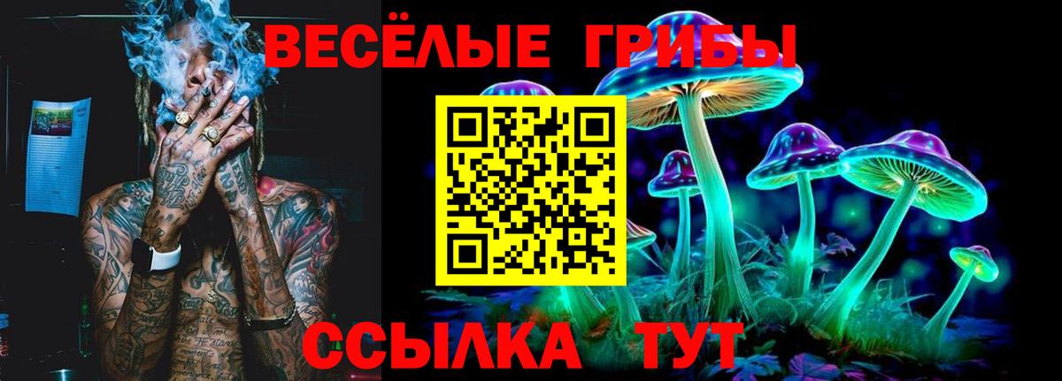 Галлюциногенные грибы GOLDEN TEACHER Нальчик